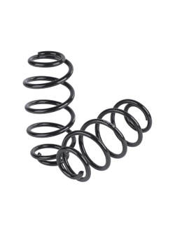 Пружина задняя L=R для CHEVROLET Aveo III (11-) GANZ GIK02650