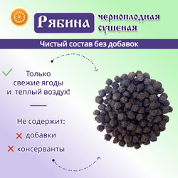 Рябина черноплодная.