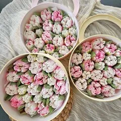 Зефир подарочный «Тюльпаны» / 25 см