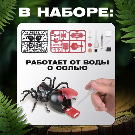 Робот паук «Чёрная вдова» Эврики, конструктор, 43 детали, на воде с солью