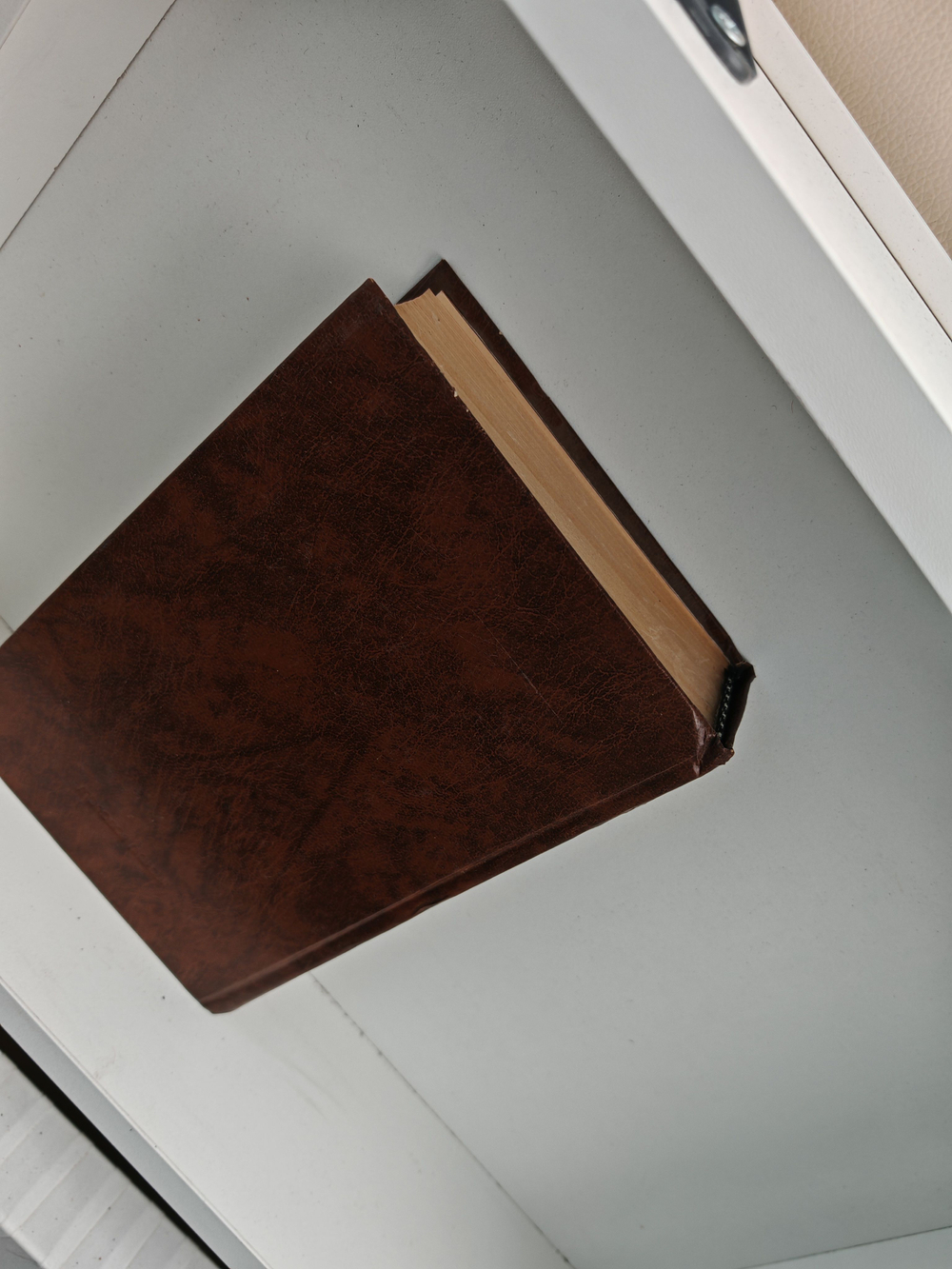 Побратимы (История отечества)