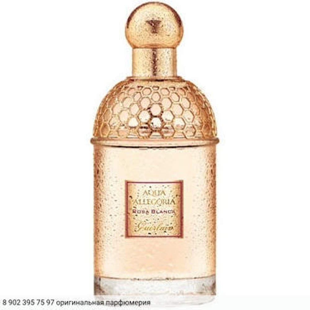 Aqua Allegoria Rosa Blanca