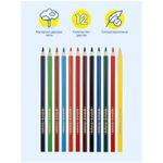 Карандаши акварельные Мульти-Пульти "Невероятные приключения", 12цв., трехгран., заточен., картон, европодвес