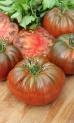 Семена Томат Цыган 20 шт (УД) Е/П