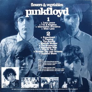 Pink Floyd / Flowers & Vegetables (Coloured Vinyl)(LP)