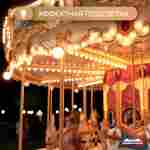 Электрическая свадебная карусель «Королевский бал» с LED-подсветкой, 16 мест