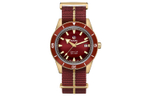RADO Men"s Captain Cook Collection Watch