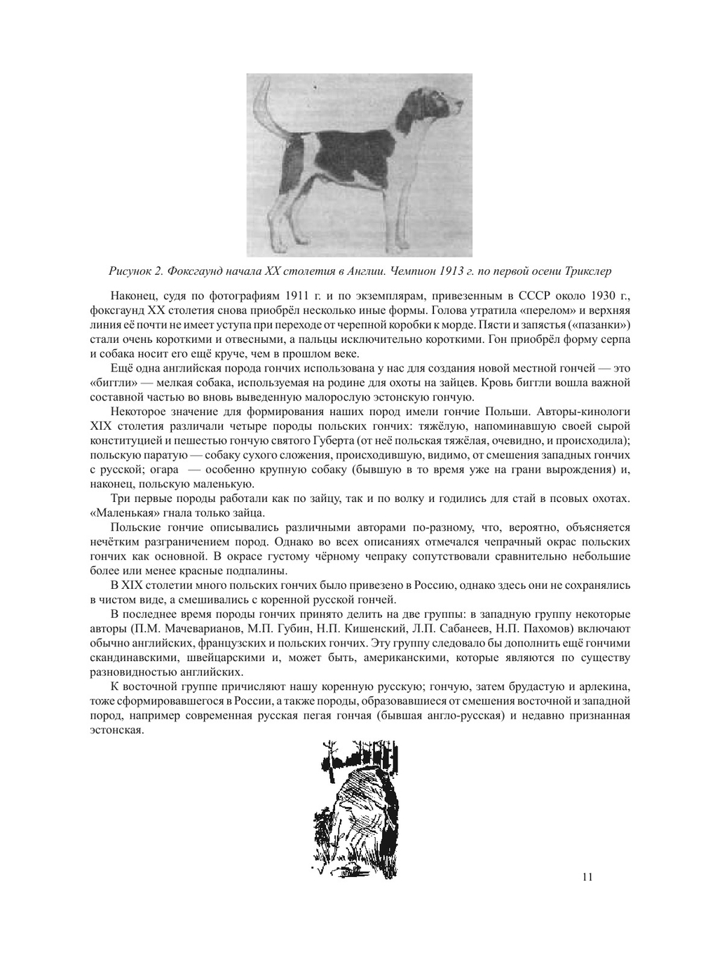 Гончая и охота с ней | В. И. Казанский