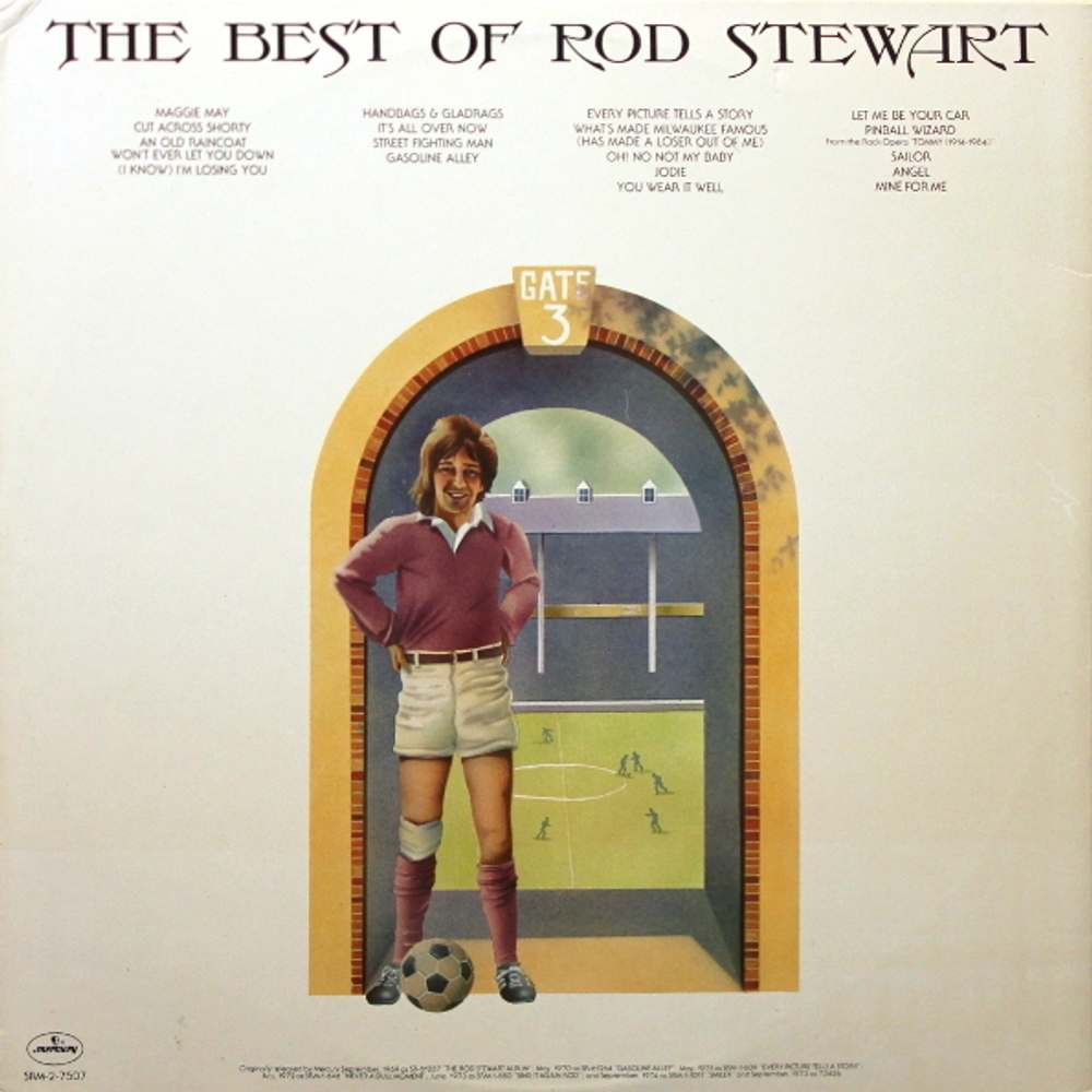Rod Stewart / The Best Of Rod Stewart (2LP)