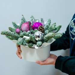 Новогодняя композиция из нобилиса 12