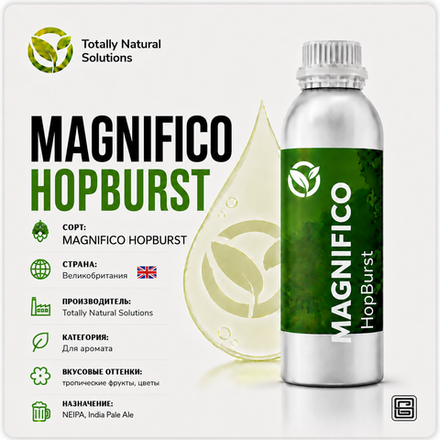 HOPBURST MAGNIFICO (MOSAIC)