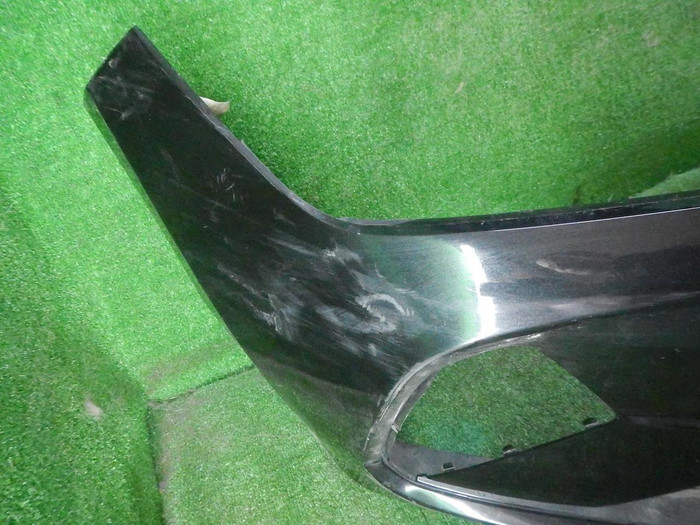 DSCN8439.JPG