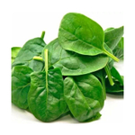 Гелиос F1 семена шпината (Sakata / Саката)