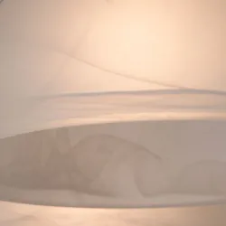 Потолочная люстра Arte Lamp