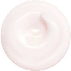 Shiseido Essential Energy Hydrating Cream - глубоко увлажняющий крем /   50  ml  / GTIN 729238182868