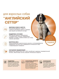 Сухой корм для собак Английский сеттер, индейка, 2,5кг