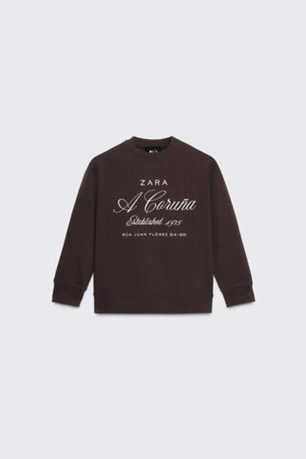 ZARA ТОЛСТОВКА С ВЫШИВКОЙ © 50TH ANNIVERSARY, КОРИЧНЕВЫЙ
