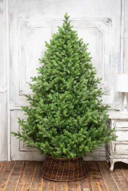 Искусственная елка Торжественная 300 см., 100% литая хвоя, ЕлкиТорг (167300)