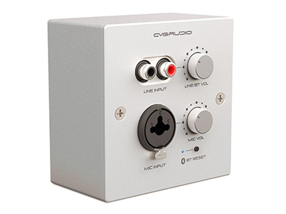 CVGAUDIO PW-IN/W настенная панель удаленного зонального подключения