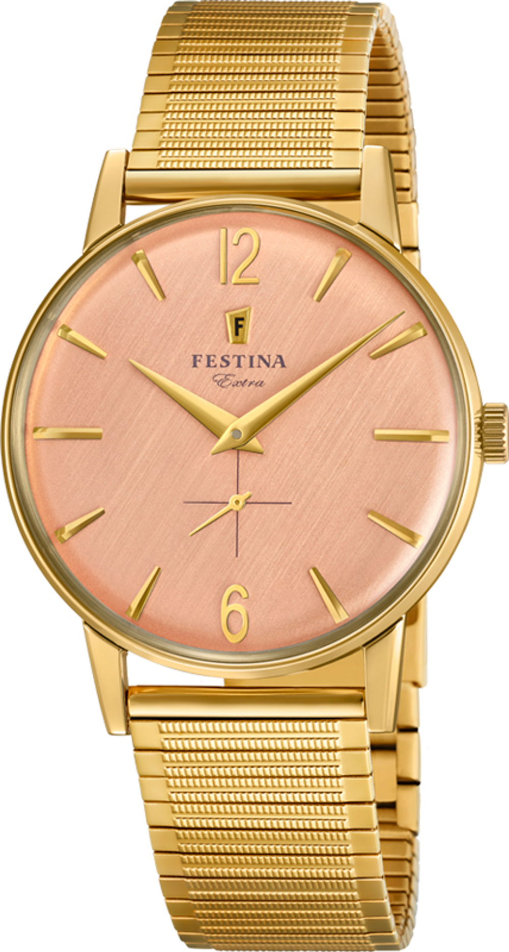 Мужские наручные часы Festina F20251/3