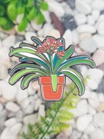 Значок Кливия