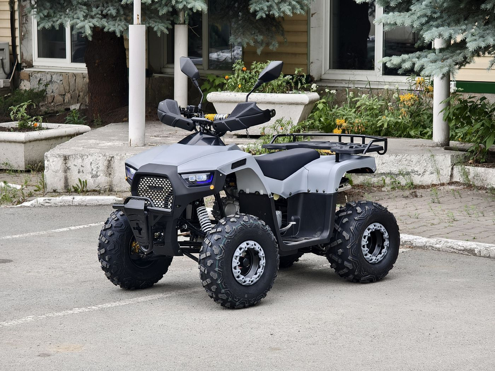Lion 125 RR серый