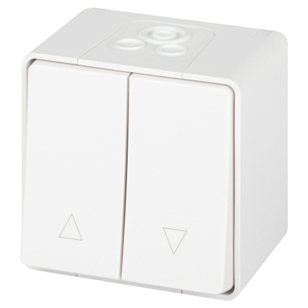 Переключатель ЭРА Эксперт 11-1508-01 для жалюзи кнопочный IP55, 10АХ-250В, ОУ, белый | Эра Эксперт