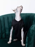 Одежда для кошек сфинкс