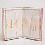 2972801 Свидетельство о рождении, Бэмби (новый формат свидетельства)