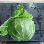 Пандион F1 семена капусты белокочанной (Seminis / Семинис)