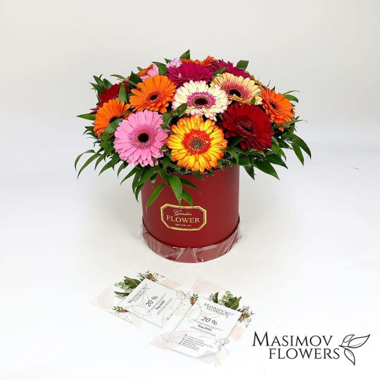 Композиция "Амиллия"