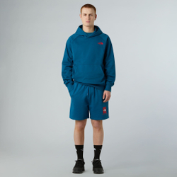 Худи The North Face NSE Box