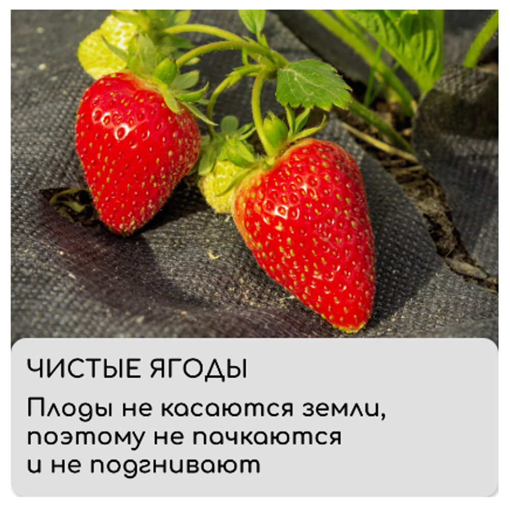 Материал мульчирующий, 5 × 1,6 м, плотность 80 г/м², спанбонд с УФ-стабилизатором, чёрный, Greengo,