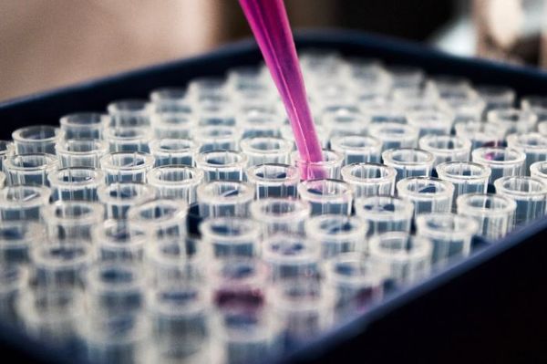 Производители сообщили о проблемах с доступностью референтных препаратов для проведения КИ