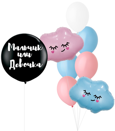 Набор шаров Гендер-пати (определение пола) | 0073