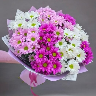 Букет из 11 кустовых хризантем
