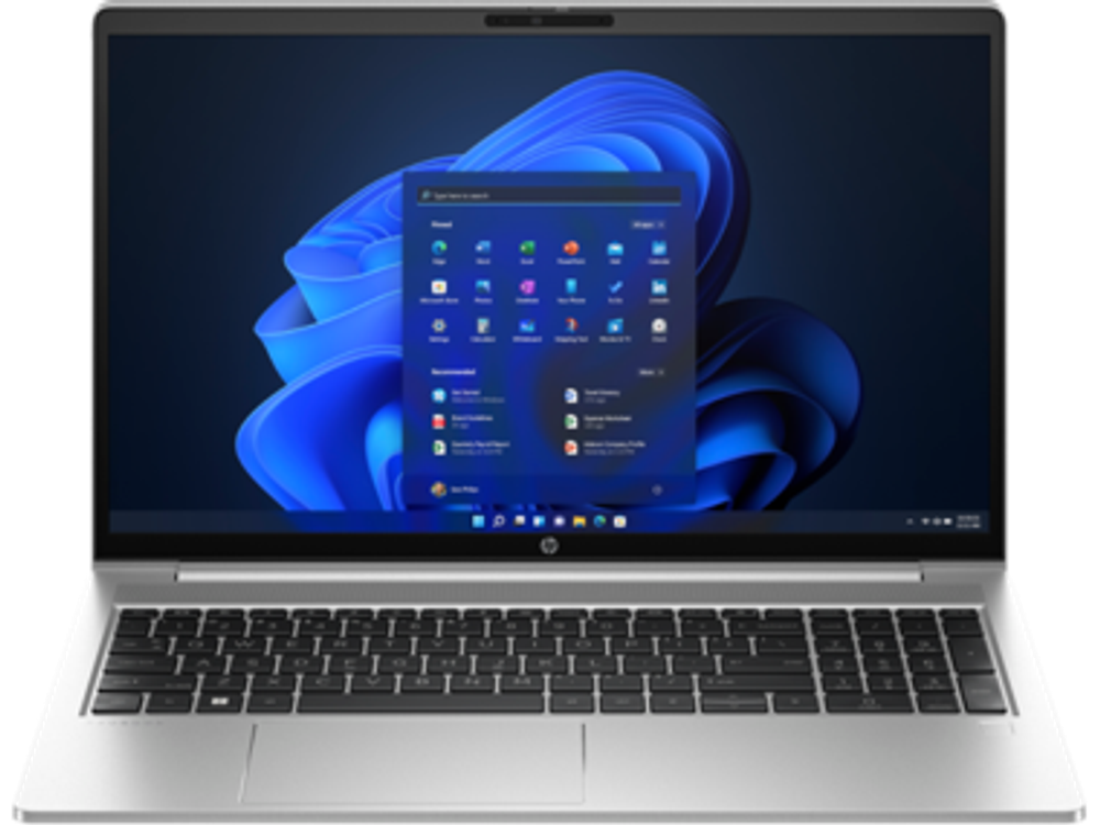 Ноутбук HP ProBook 450 G10 (816A0EA)