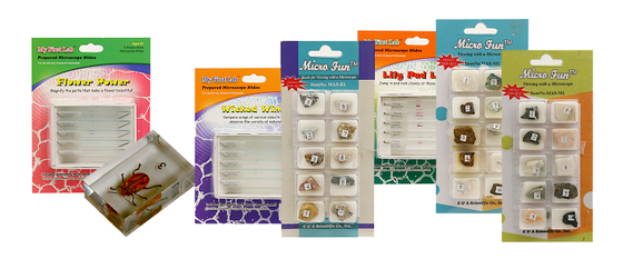 Развивающая игра Микропрепараты