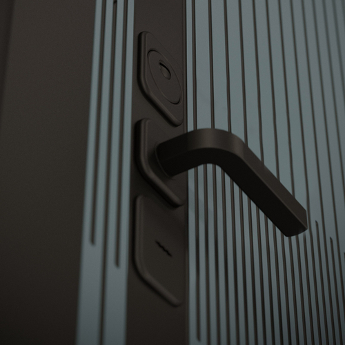 Иссида 12 венге