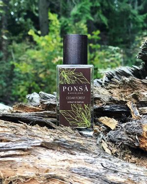 Ponsa Cedar Forest