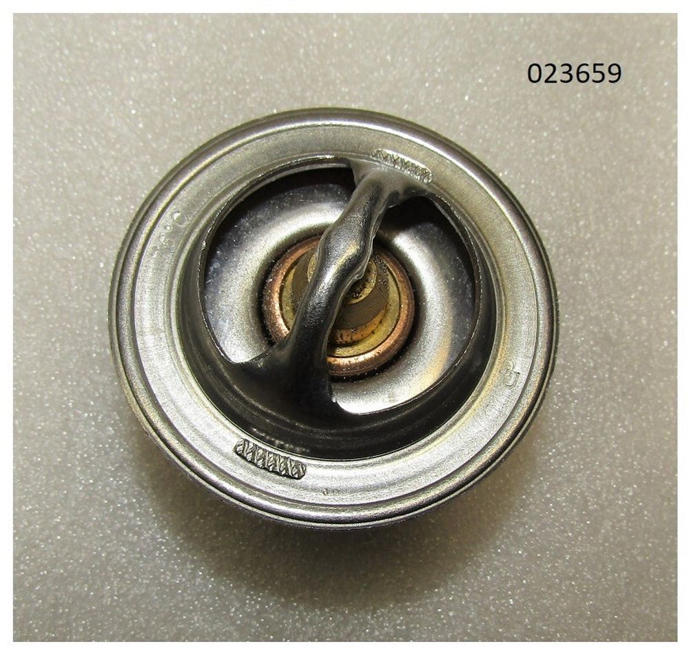 Термостат Ricardo Y480BD; TDK 14 4L (Т=76С)/Thermostat, element