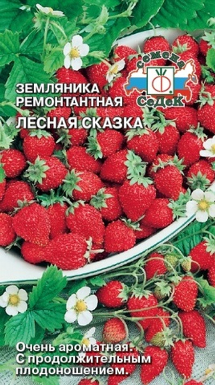 Земляника Лесная Сказка