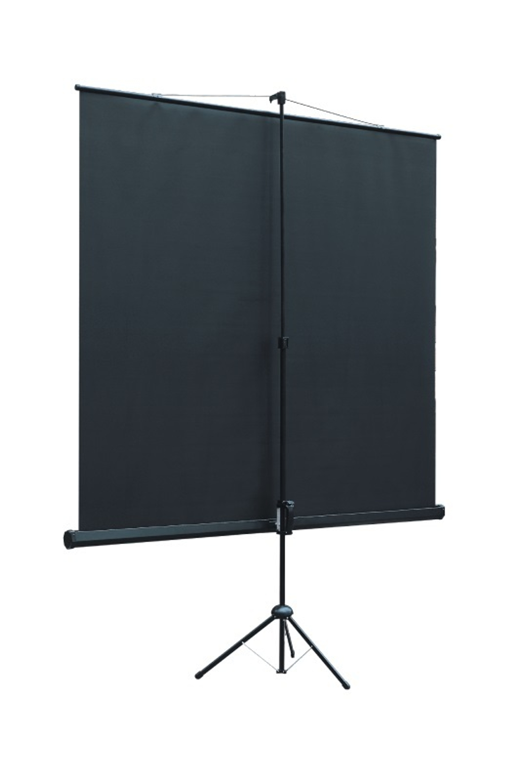 Экран  Lumien LEV-100111