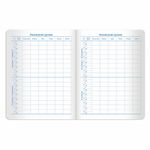 Дневник 1-11 класс 48 л., обложка кожзам (твердая), тиснение, аппликация, BRAUBERG, "ФЛАМИНГО", 105485