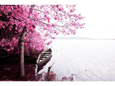 Картина по номерам 40х50см. "Лодка на озере" (Арт.Х-4619)