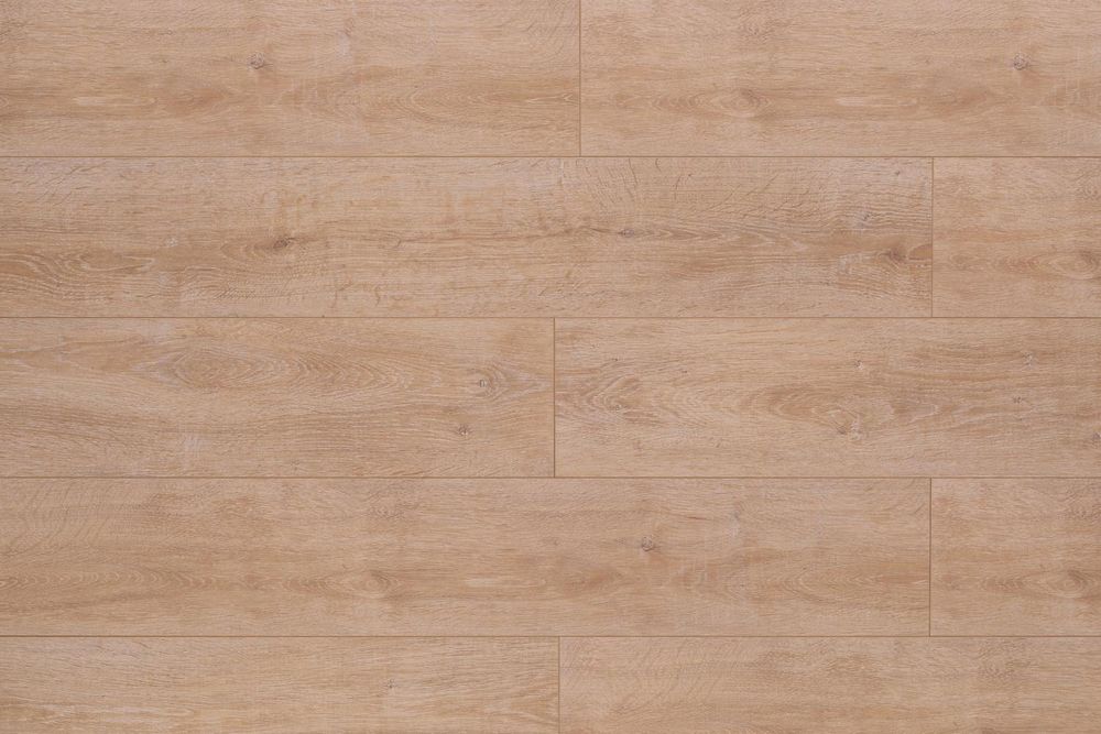 BelFloor Universal 12 BF12-708-UN, 1,659 м²