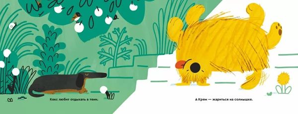 Крем и Кекс