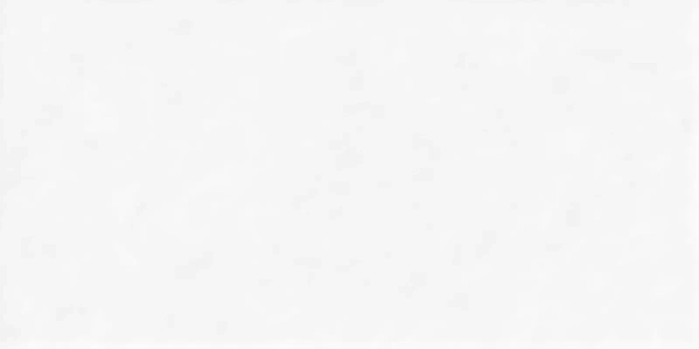 Настенная плитка Alma Ceramica TWU2550DCV00 Discover 24.9x50 белая глянцевая / рельефная моноколор