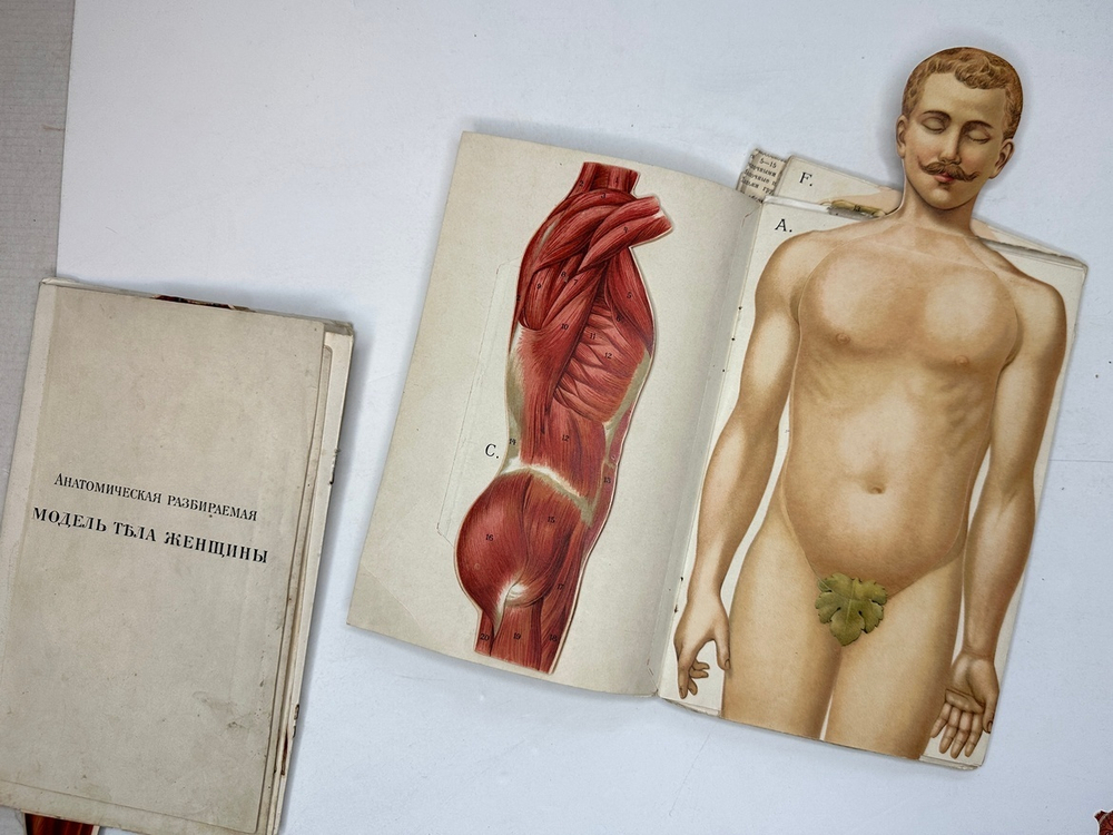 Платен М. Новый способ лечения. Лечение целебными силами природы. — Берлин: Изд. Просвещение, 1901