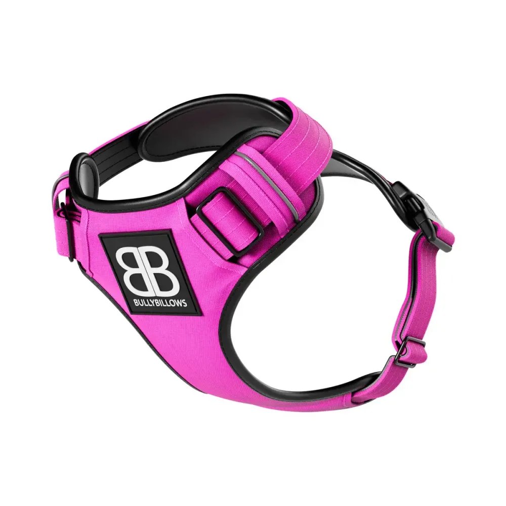 Шлейка Premium Dog Harness v2.0 BullyBillows